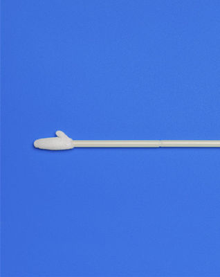 Iclean नमूना संग्रह स्वाब 230MM नायलॉन स्वाब CM-FS919K